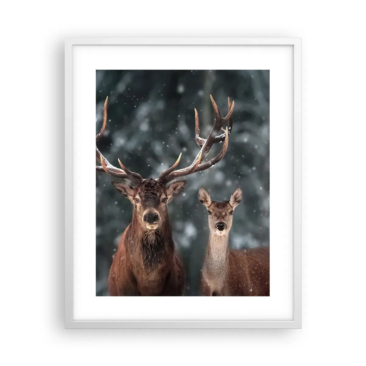 Affiche dans un cadre blanc - Poster - Le roi de la forêt avec sa femme - 40x50 cm