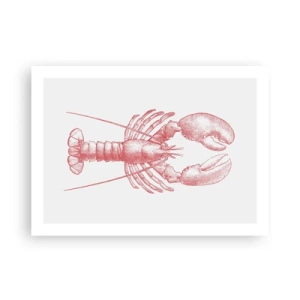 Affiche - Poster - Un homard digne d'Homère - 70x50 cm
