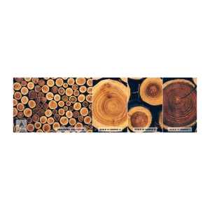 Échantillon de Papier Peint Autocollant Deluxe Sticker - Quel âge je semble avoir ? - Tronc d'arbre, Forêt, Morceau - 100x30 cm