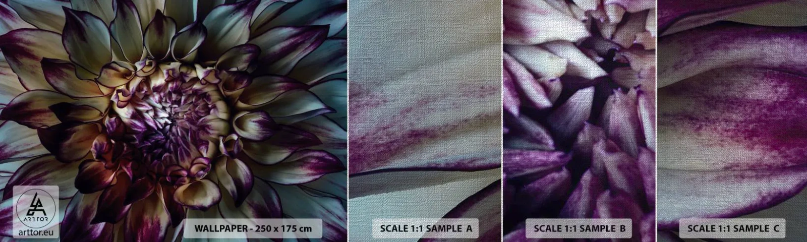 Échantillon de Papier Peint Premium Canvas - L'apogée de la jeunesse - Fleurs, Dahlia, Fleur épanouie - 100x30 cm