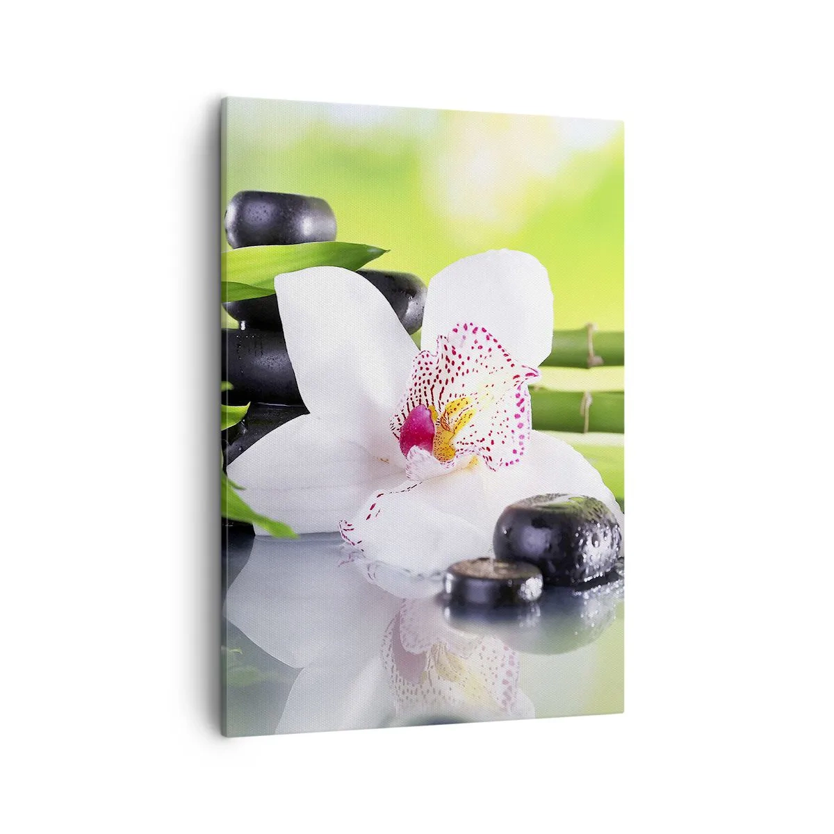 Impression sur toile - Image sur toile - Orchidée, pierres et bambou dans une composition spa harmonieuse - 50x70cm - Raffraîchissement de fraîcheur - Décoration murale moderne pour le salon et la chambre ARTTOR