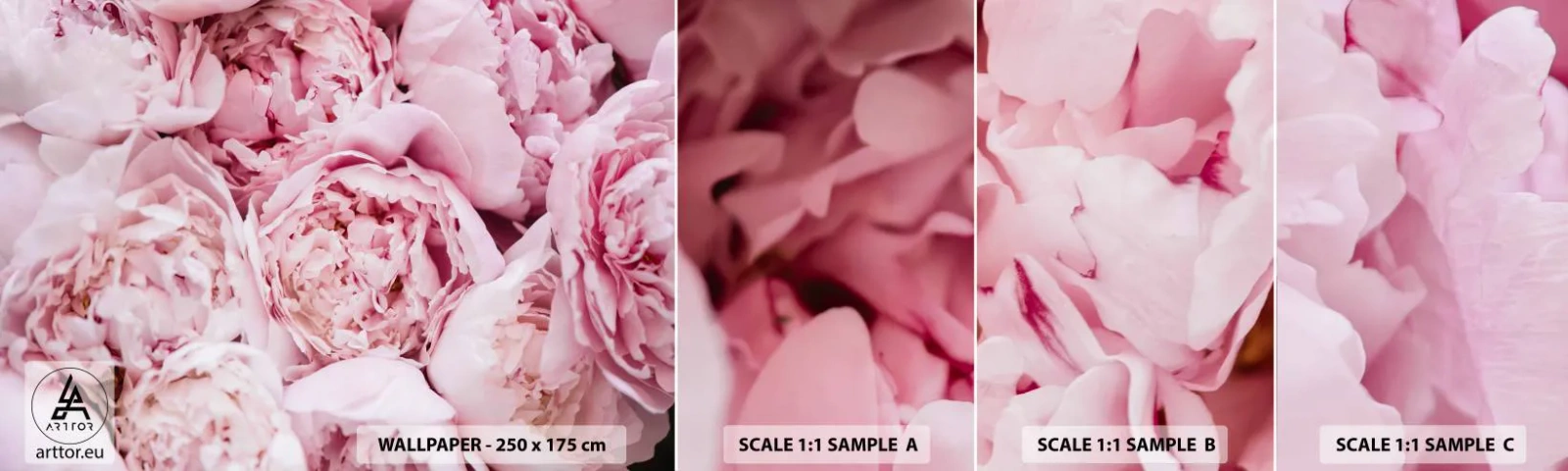 Échantillon De Papier Peint Standard Eco - Caliné et parfumé - Pivoine, Fleurs, Bouquet de fleurs - 100x30 cm