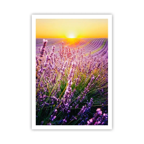 Affiche - Poster - Tige parfumée - 70x100 cm