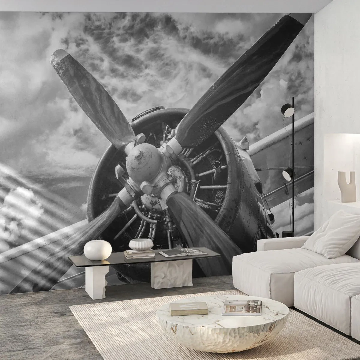 Papier Peint Autocollant Deluxe Sticker - Dompteur de ciel - Avion, Hélice d'avion, Ancien - 250x175 cm