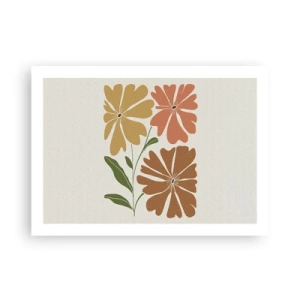 Affiche - Poster - Nature et géométrie - 70x50 cm