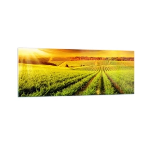 Impression sur verre - Image sur verre - Des vignes dorées illuminées par les rayons du soleil - 140x50cm - Sous le soleil australien - Décoration murale moderne pour le salon et la chambre ARTTOR