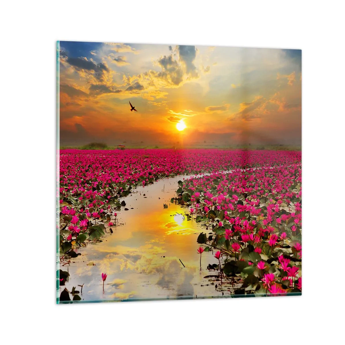 Impression sur verre - Image sur verre - La vie secrète du lac - 60x60 cm