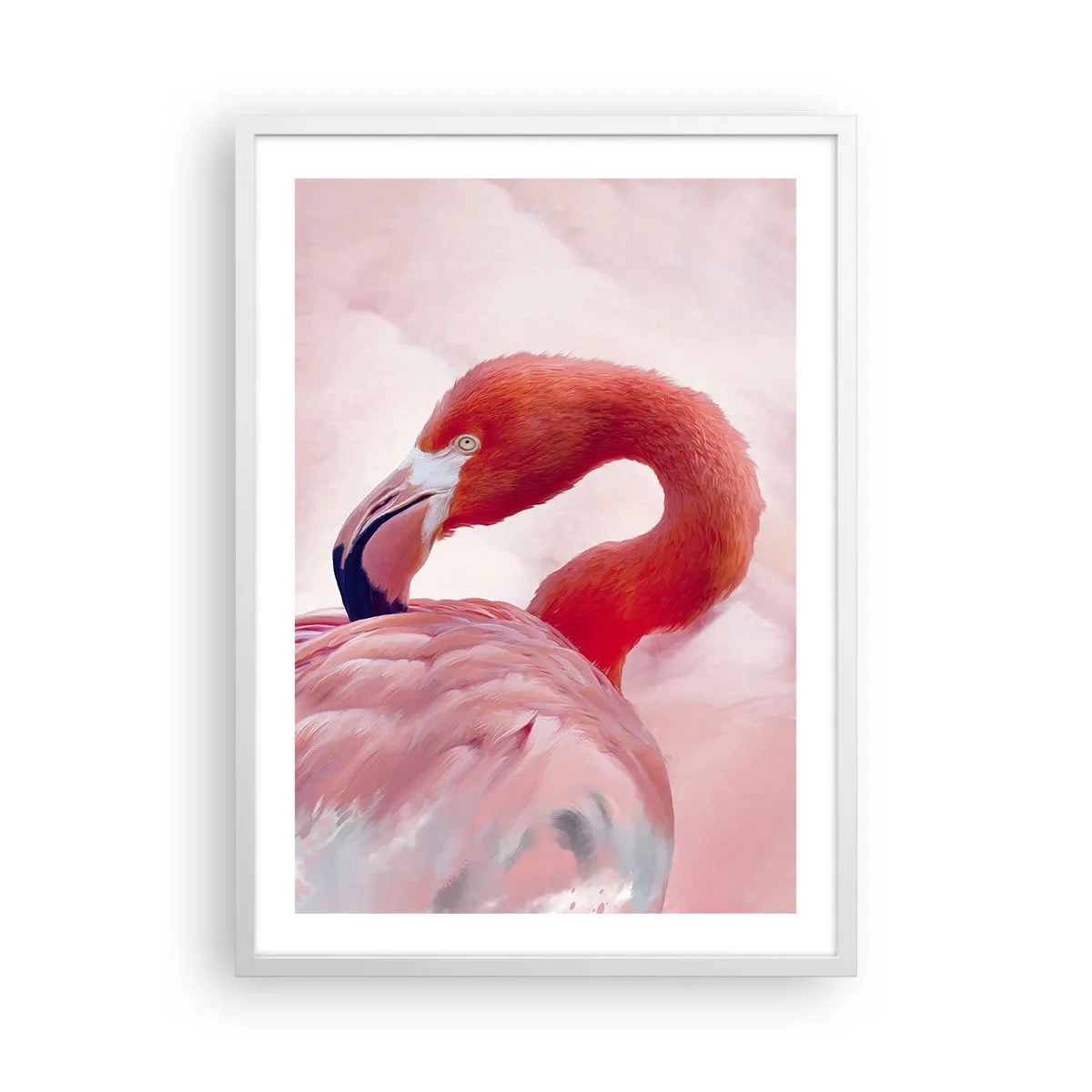 Affiche dans un cadre blanc - Poster - Beauté des oiseaux - 50x70 cm