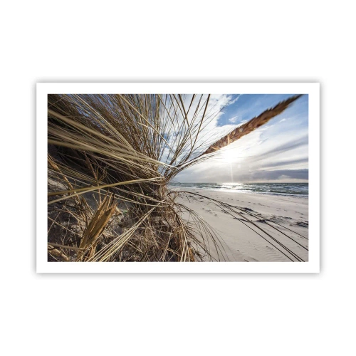 Affiche - Poster - Rencontre des éléments - 91x61 cm