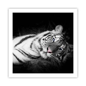 Affiche - Poster - Sauvagerie et paix - 60x60 cm