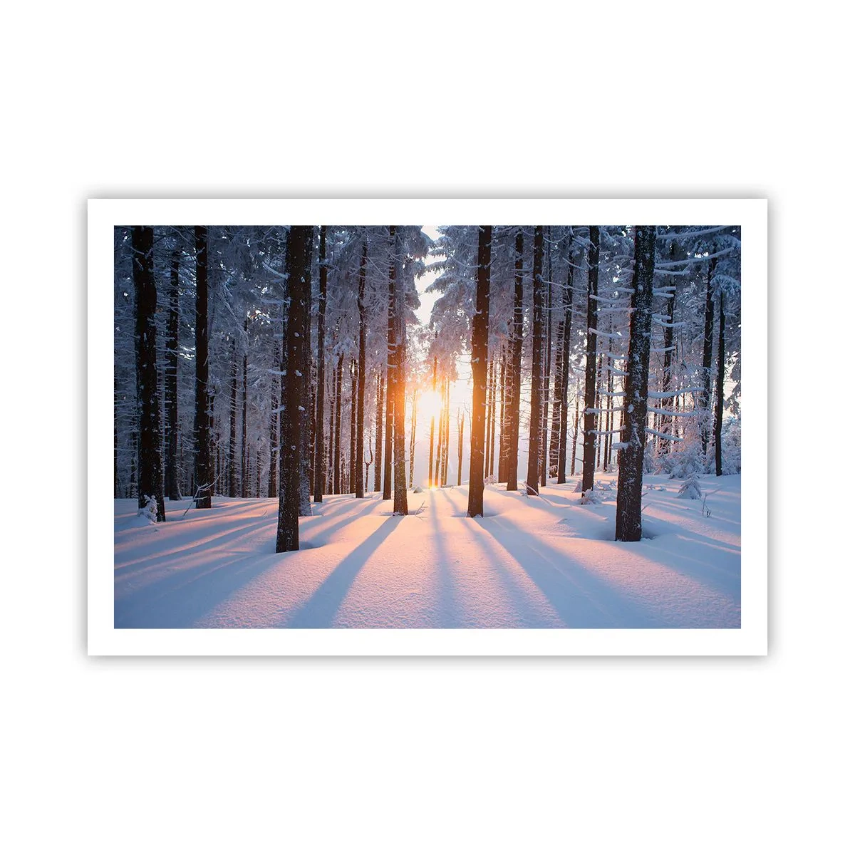 Affiche - Poster - Clairement en noir et blanc - 91x61 cm