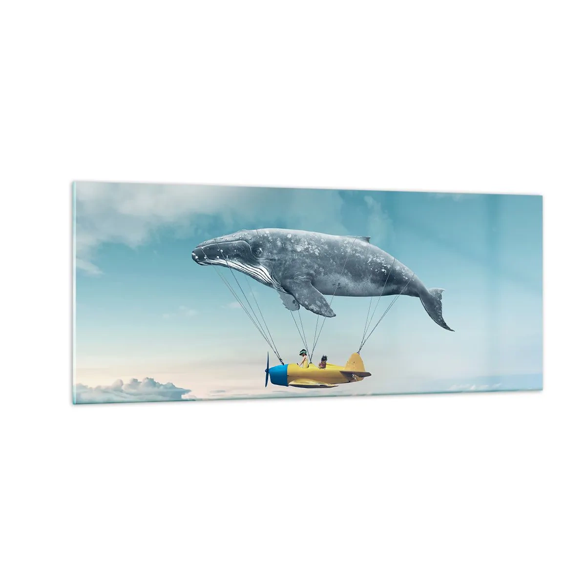 Impression sur verre - Image sur verre - Pourquoi pas? - 100x40 cm