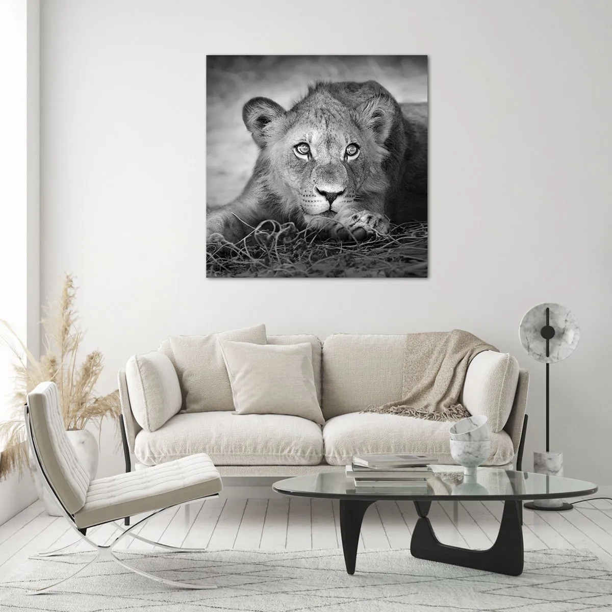 Impression sur verre - Image sur verre - Chiot royal - 40x40 cm