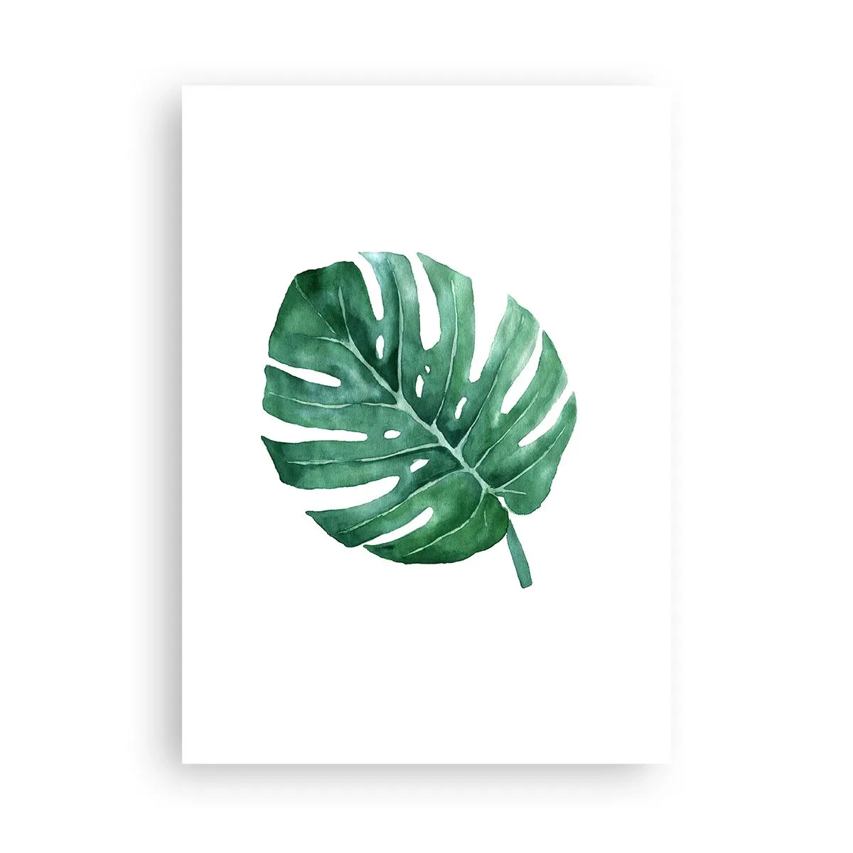 Affiche - Poster - Illustration à l'aquarelle d'une feuille de monstera sur fond blanc - 50x70cm - Concept vert - Décoration murale moderne pour le salon et la chambre ARTTOR