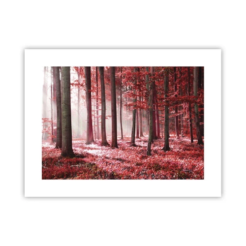 Affiche - Poster - Le rouge est tout aussi beau - 40x30 cm