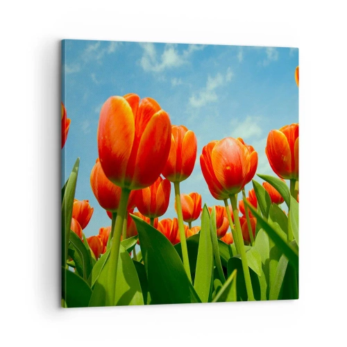 Impression sur toile - Image sur toile - A part le ciel bleu, ils n'ont besoin de rien dans leur vie - 60x60 cm