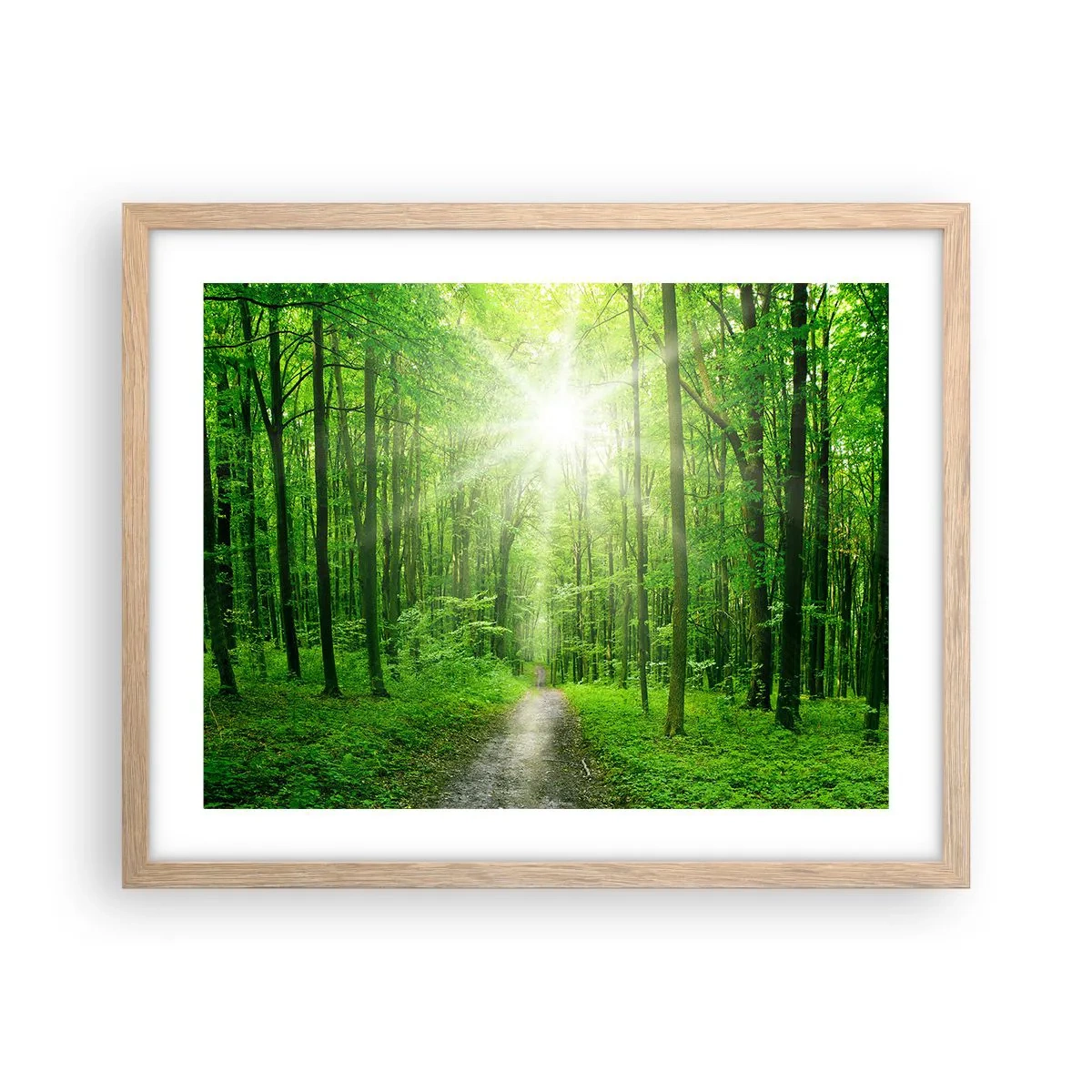 Affiche dans un chêne clair - Poster - Cathédrale verte - 50x40 cm