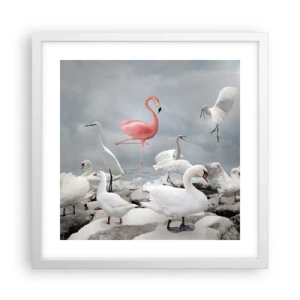 Affiche dans un cadre blanc - Poster - Comment suis-je arrivé là? - 40x40 cm