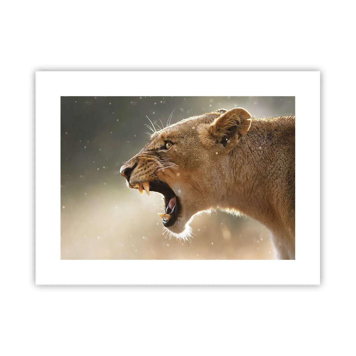 Affiche - Poster - Essayez  de ne pas écouter - 40x30 cm