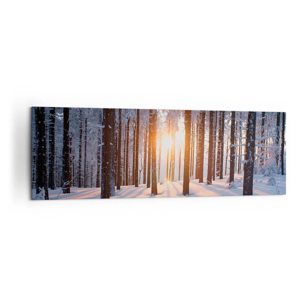 Impression sur toile - Image sur toile - Forêt d'hiver illuminée par les rayons du soleil - 160x50cm - Clairement en noir et blanc - Décoration murale moderne pour le salon et la chambre ARTTOR