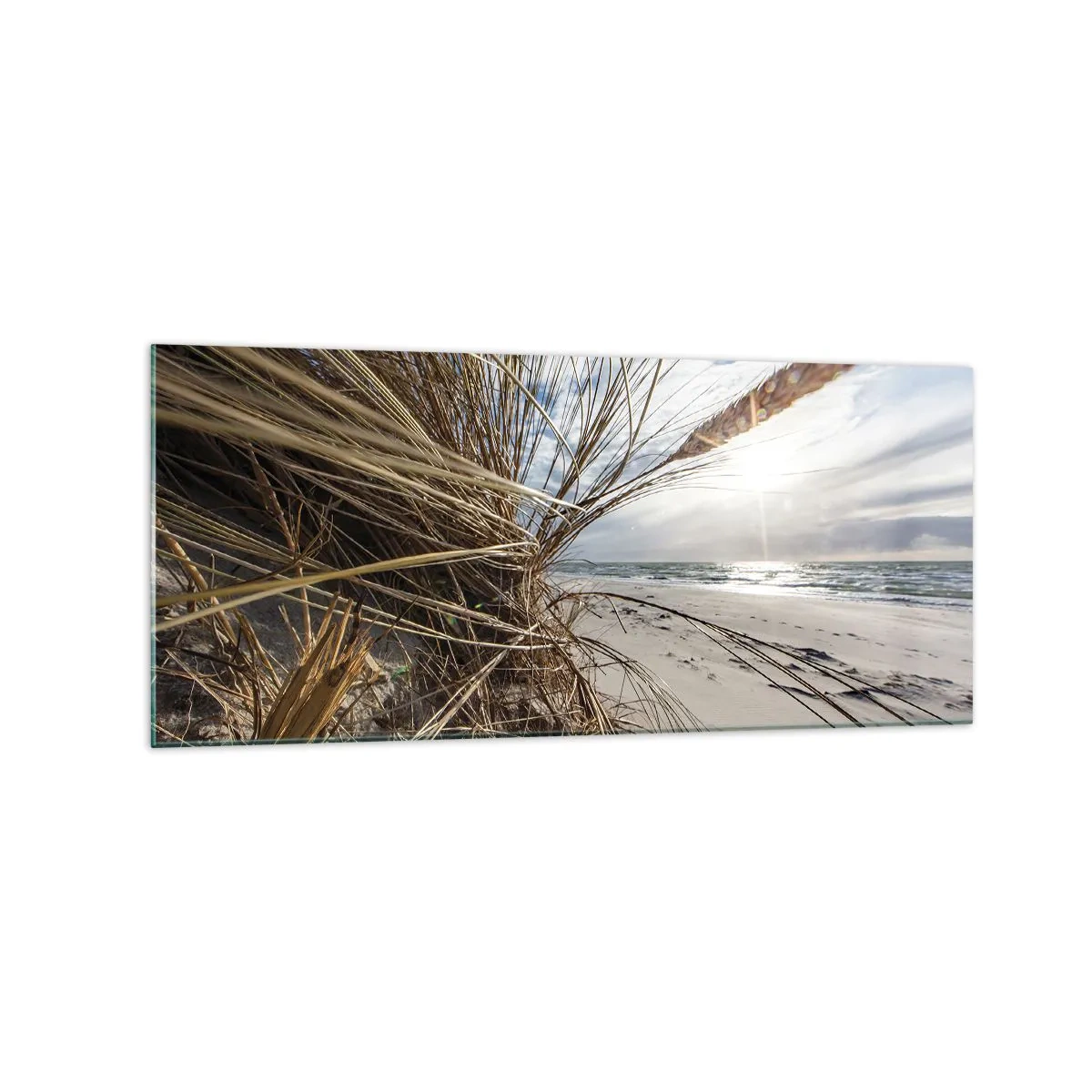Impression sur verre - Image sur verre - Une plage avec de l'herbe sèche sur les dunes et une vue sur la mer - 120x50cm - Rencontre des éléments - Décoration murale moderne pour le salon et la chambre ARTTOR