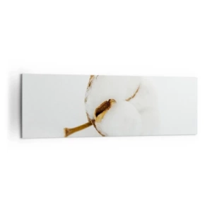Impression sur toile - Image sur toile - Une branche de coton sur un fond clair dans une approche minimaliste - 160x50cm - Doux par nature - Décoration murale moderne pour le salon et la chambre ARTTOR