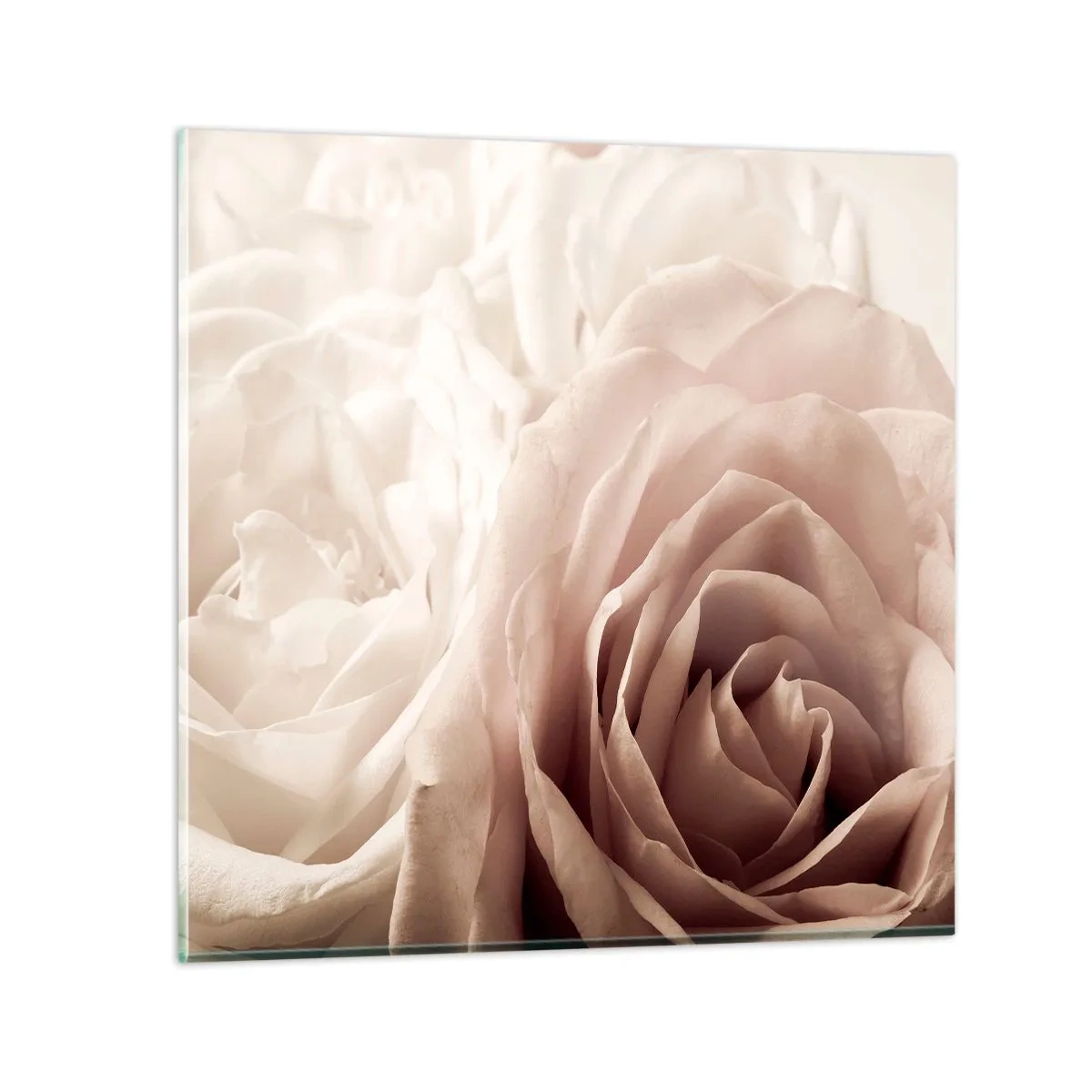 Impression sur verre - Image sur verre - Au coeur d'ue la rose - 40x40 cm