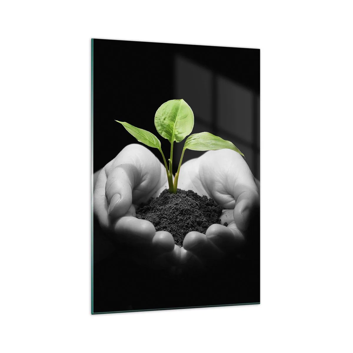 Impression sur verre - Image sur verre - Mains tenant une plante verte sur fond noir - 70x100cm - J'aime la nature, je la protège - Décoration murale moderne pour le salon et la chambre ARTTOR