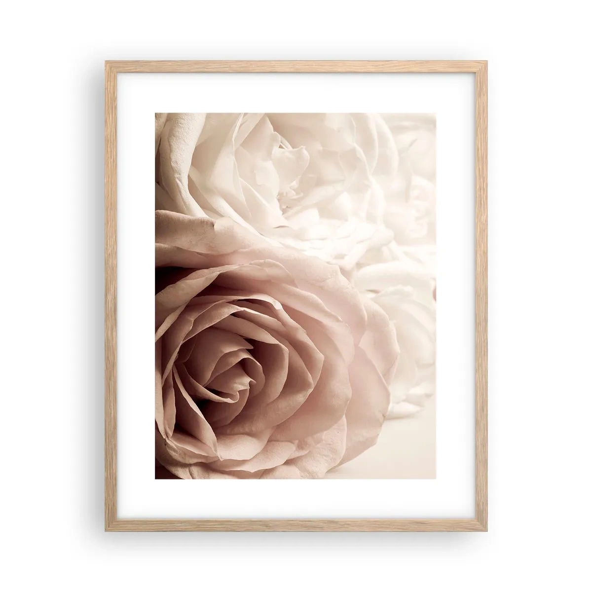 Affiche dans un chêne clair - Poster - Au coeur d'ue la rose - 40x50 cm