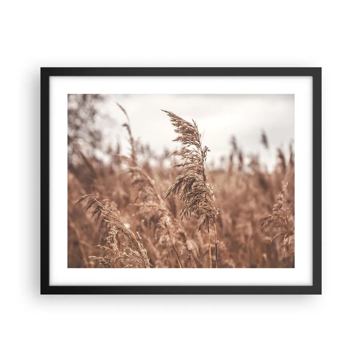 Affiche dans un cadre noir - Poster - C'est déjà l'automne dans les champs - 50x40 cm