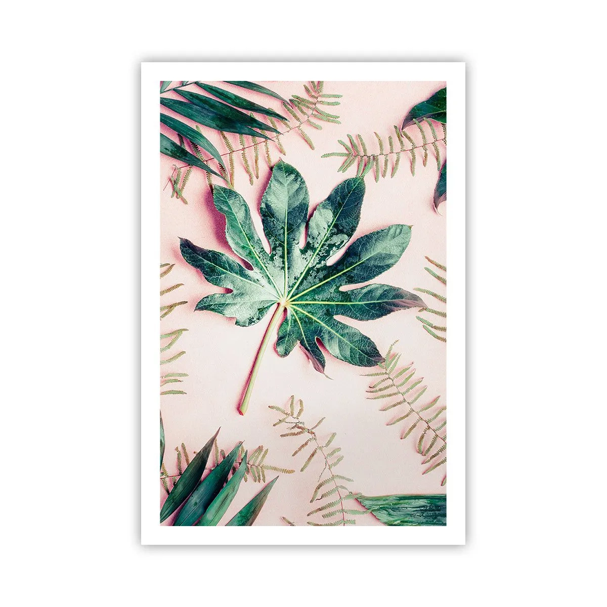 Affiche - Poster - Étude de verdure sur fond rose - 61x91 cm