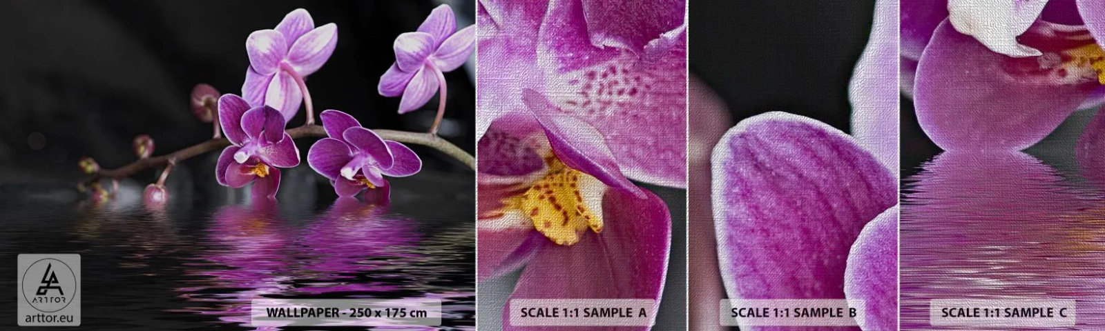Échantillon de Papier Peint Premium Canvas - Reflet lilas de la beauté - Fleurs, Orchidée, Nature - 100x30 cm