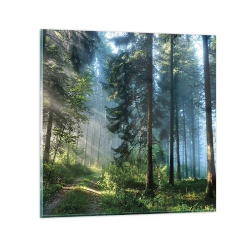 Impression sur verre - Image sur verre - Rayonnant le matin - 30x30 cm