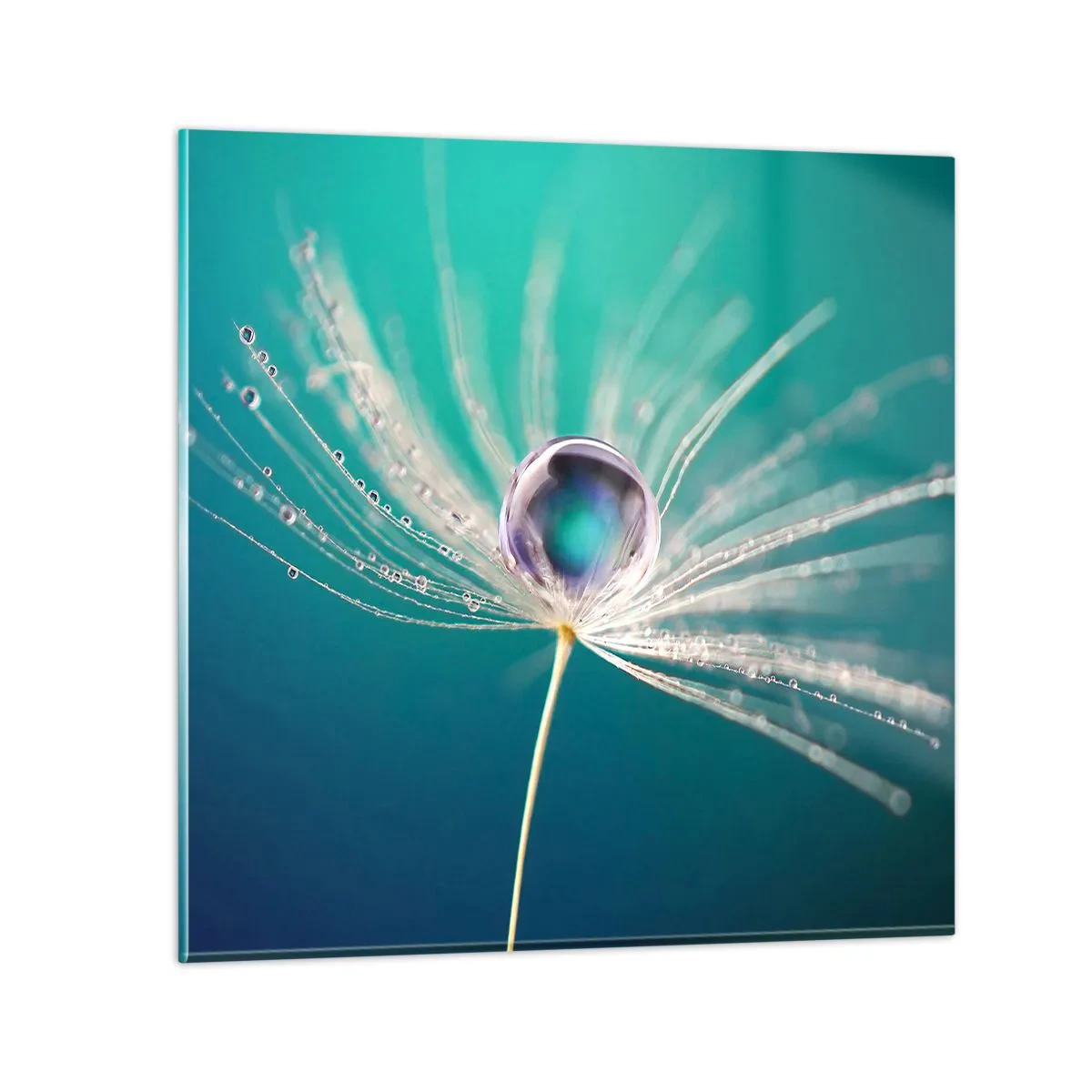 Impression sur verre - Image sur verre - Moment mystique - 30x30 cm