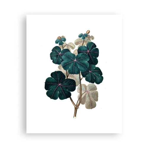 Affiche - Poster - De l'ancien herbier - 40x50 cm