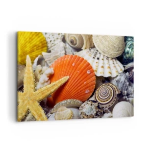Impression sur toile - Image sur toile - Coquillages et étoiles de mer dans une composition marine - 120x80cm - Trésors de l'océan - Décoration murale moderne pour le salon et la chambre ARTTOR