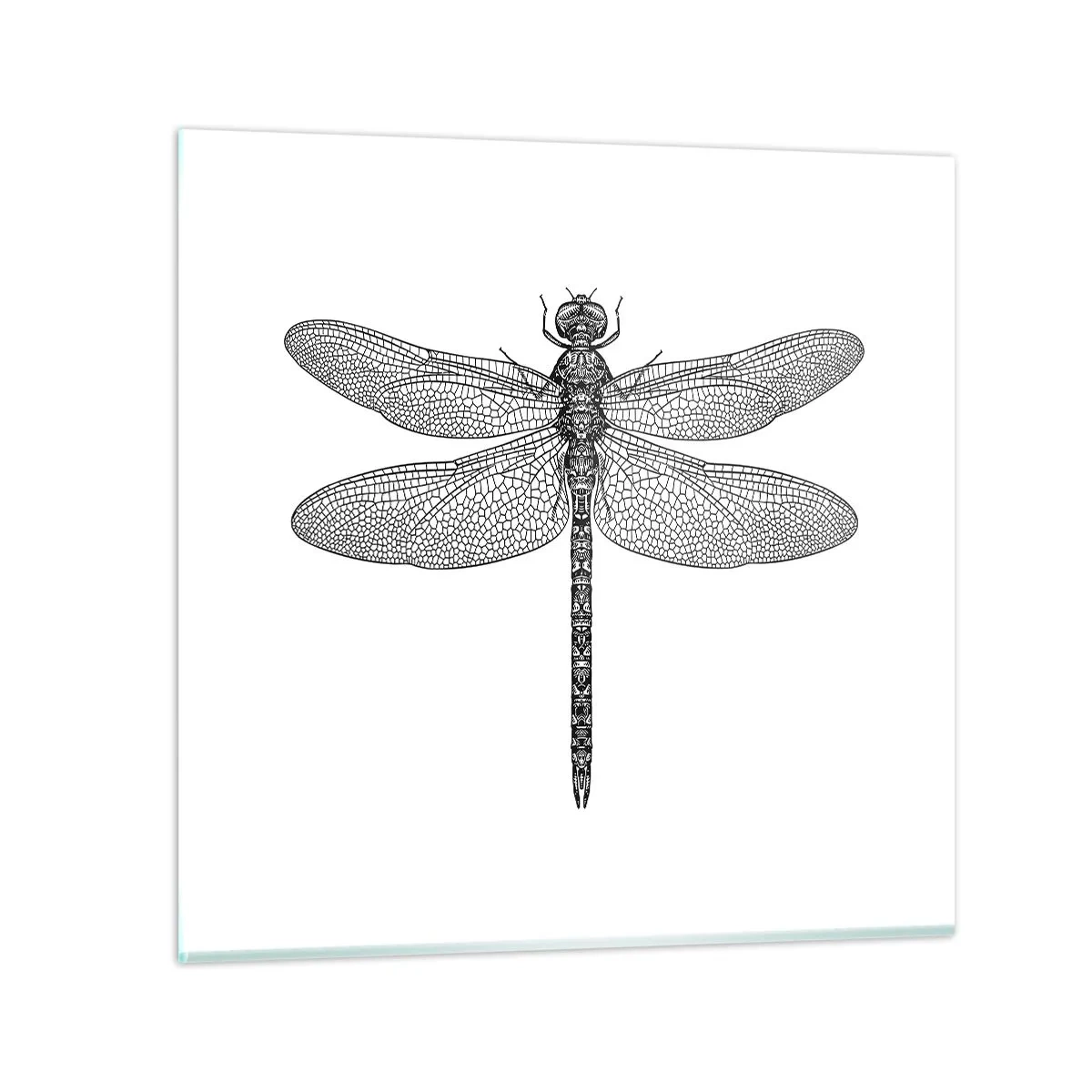 Impression sur verre - Image sur verre - Précision de la nature - 50x50 cm
