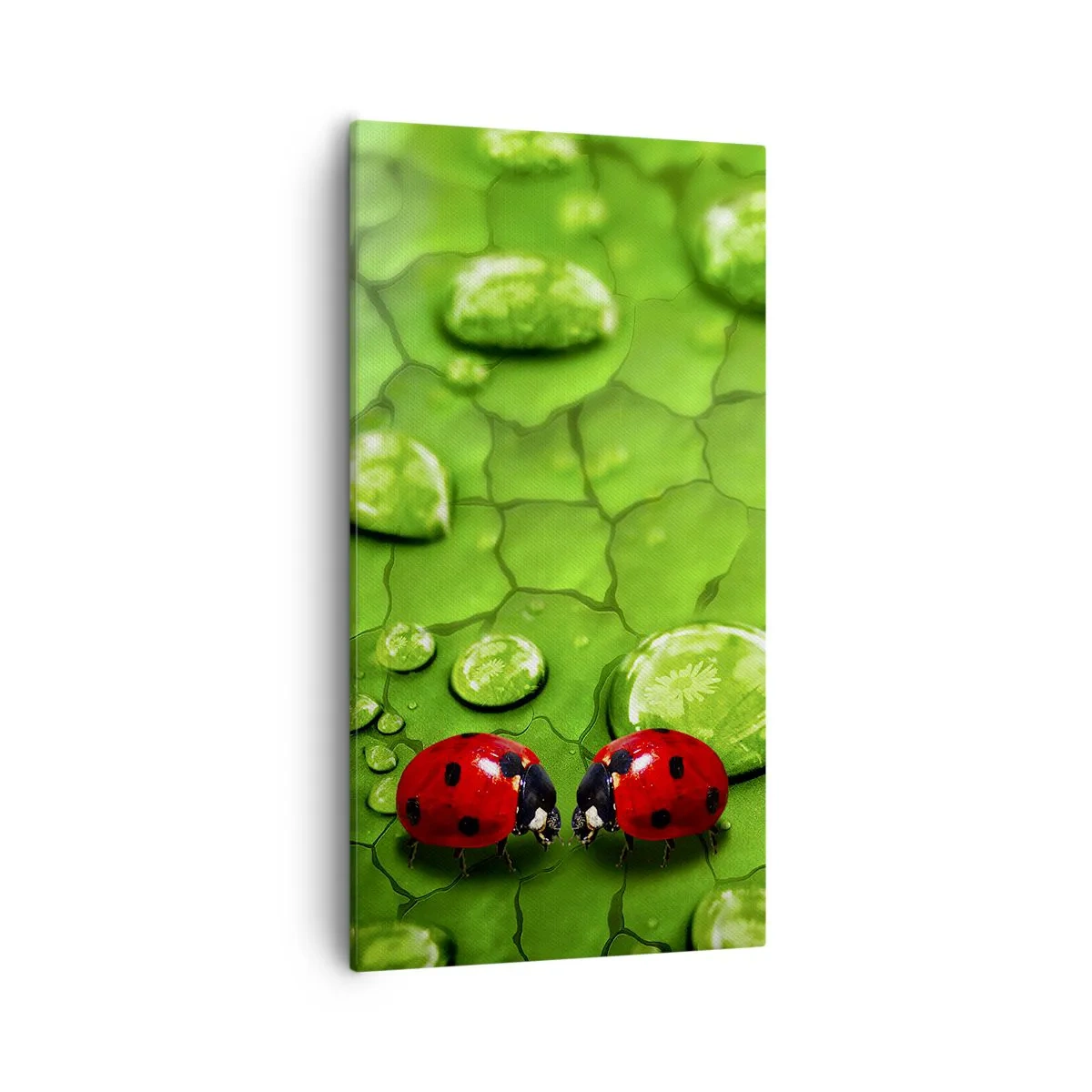 Impression sur toile - Image sur toile - Rendez-vous au vert - 55x100 cm
