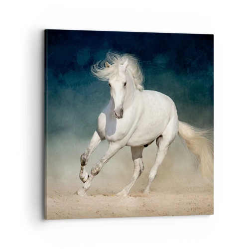 Impression sur toile - Image sur toile - La liberté à l'état pur - 70x70 cm