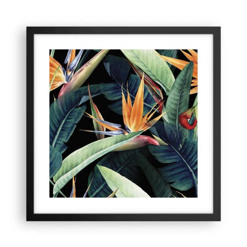 Affiche dans un cadre noir - Poster - Fleurs flamboyantes des tropiques - 40x40 cm
