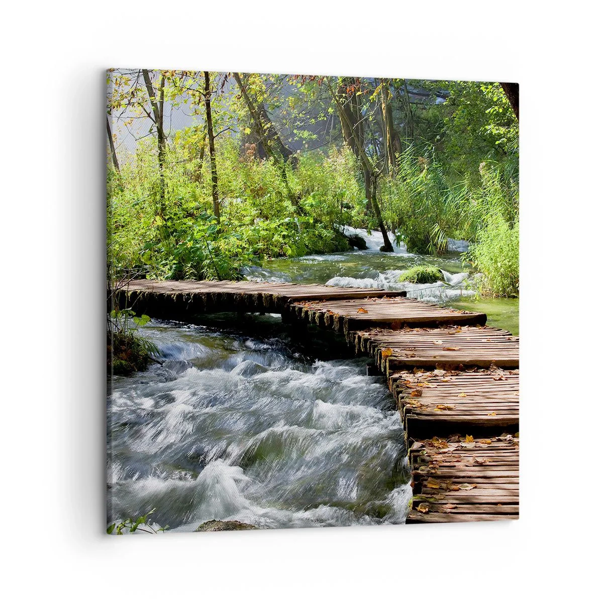 Impression sur toile - Image sur toile - Au-dessus de la cascade mousseuse - 50x50 cm