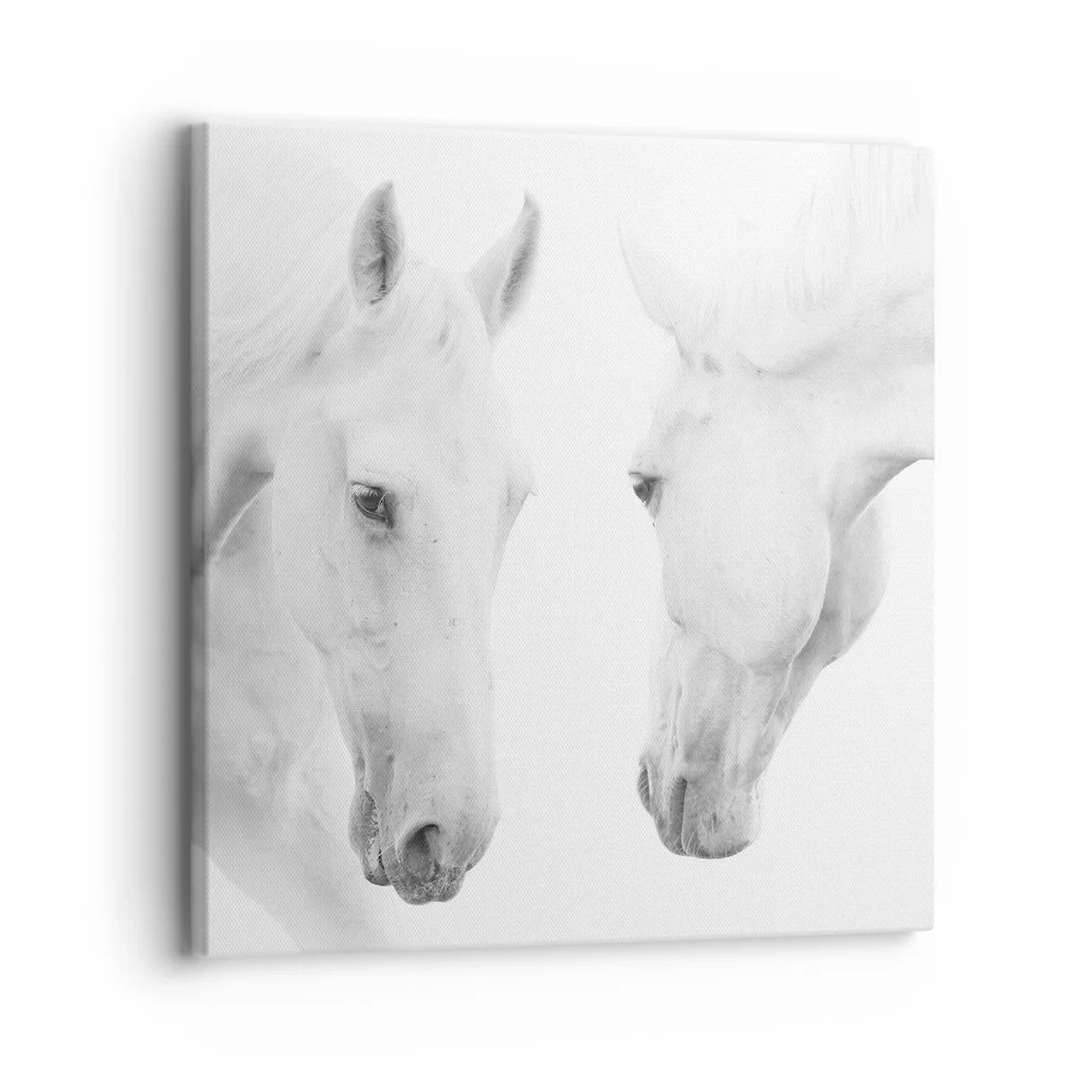 Impression sur toile - Image sur toile - Serait-ce de l’amitié? - 30x30 cm