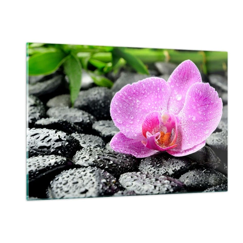 Impression sur verre - Image sur verre - Fleur d'orchidée rose sur des pierres noires humides - 120x80cm - Comme un coeur ouvert - Décoration murale moderne pour le salon et la chambre ARTTOR