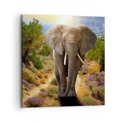 Impression sur toile - Image sur toile - Voilà à quoi ressemblait l'Eden - 70x70 cm