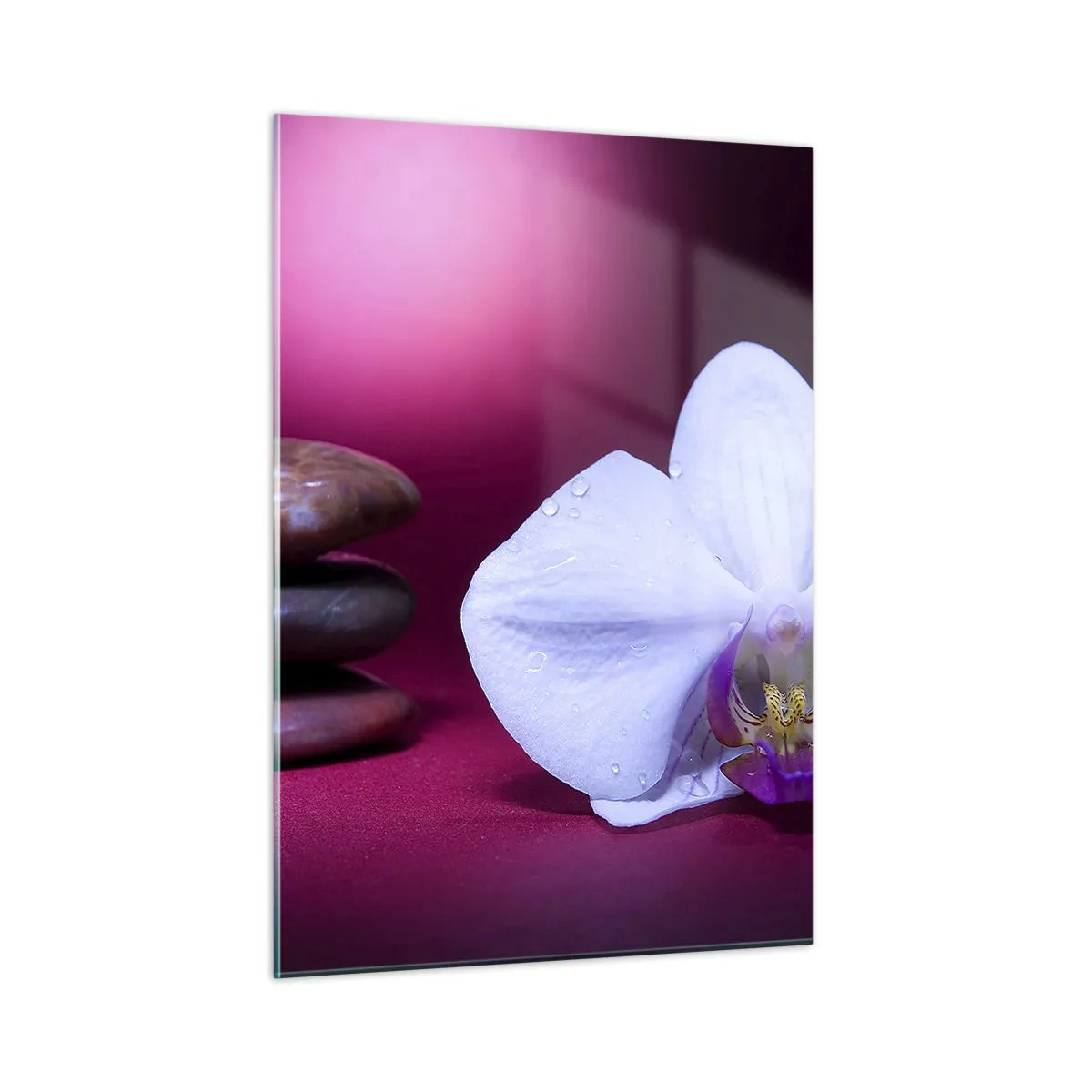 Impression sur verre - Image sur verre - Orchidée blanche et pierres sur fond de lumière violette - 50x70cm - Une étude de fraîcheur en violet - Décoration murale moderne pour le salon et la chambre ARTTOR