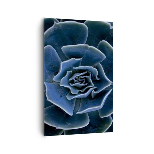 Impression sur toile - Image sur toile - Gros plan d'une rosette succulente verte - 80x120cm - Fleur du désert - Décoration murale moderne pour le salon et la chambre ARTTOR