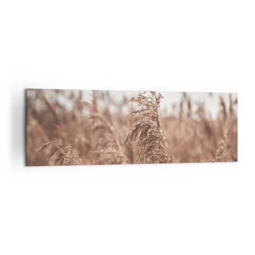 Impression sur toile - Image sur toile - Herbes dorées sur fond de paysage d'automne - 160x50cm - C'est déjà l'automne dans les champs - Décoration murale moderne pour le salon et la chambre ARTTOR