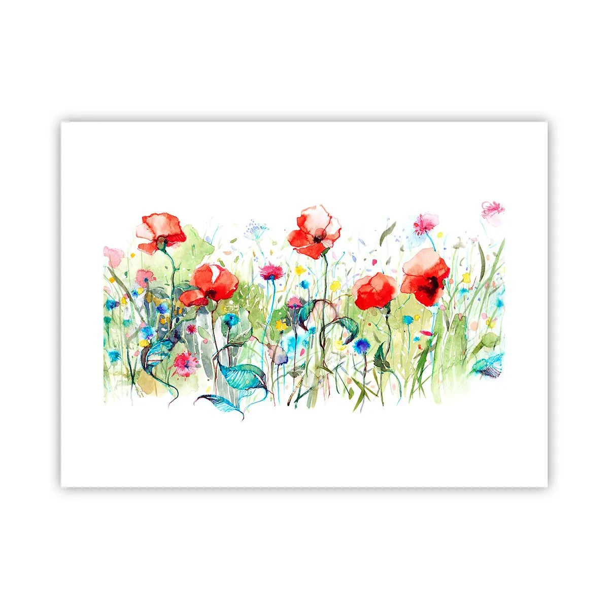 Affiche - Poster - Prairie de fleurs en mai - 40x30 cm