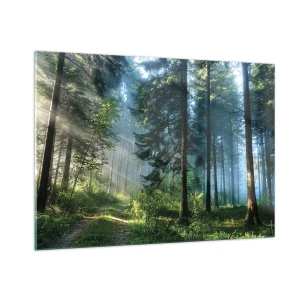 Impression sur verre - Image sur verre - Un chemin forestier dans la brume matinale parmi de grands arbres - 100x70cm - Rayonnant le matin - Décoration murale moderne pour le salon et la chambre ARTTOR