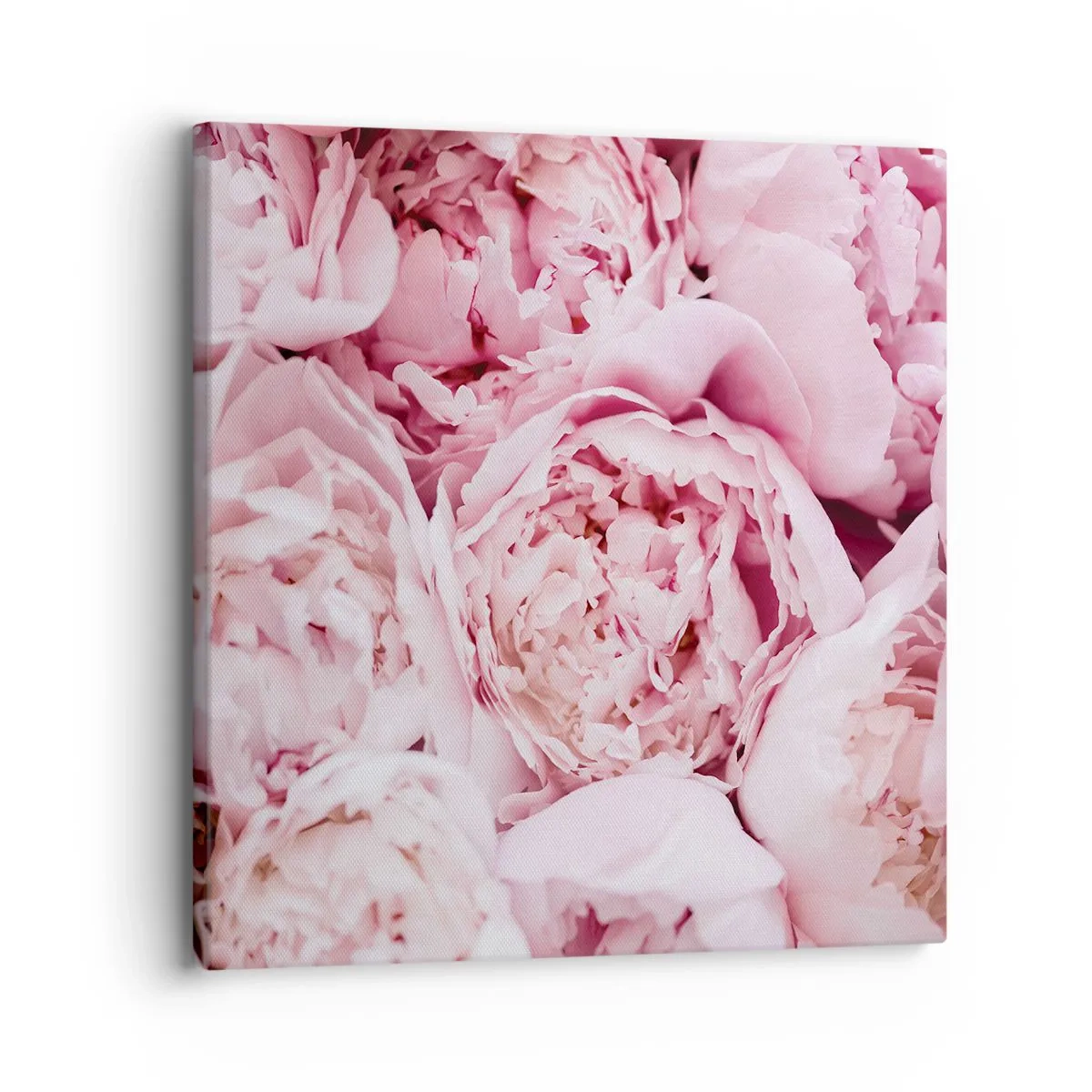 Impression sur toile - Image sur toile - Caliné et parfumé - 30x30 cm